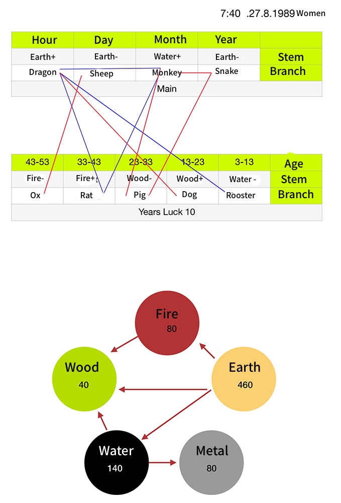 Ba Zi chart - birth chart of a clinical case in Chinese medicine